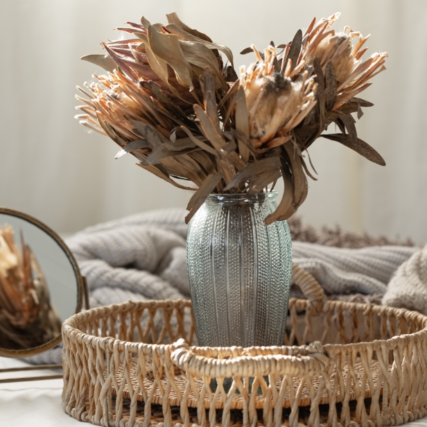 Bouquet of dried protea flowers in living room